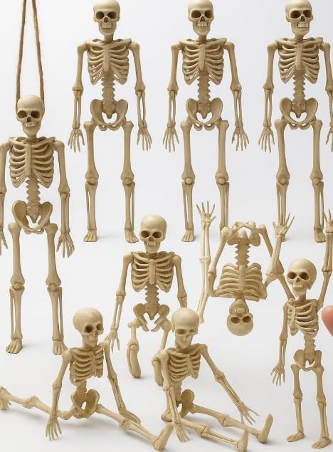 KatchOn, Huge Pack of 12 Halloween Skeletons Figure - 6-inch