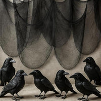 KatchOn Halloween Creepy Cloth and Crows, Black Cheesecloth - Pack of 7
