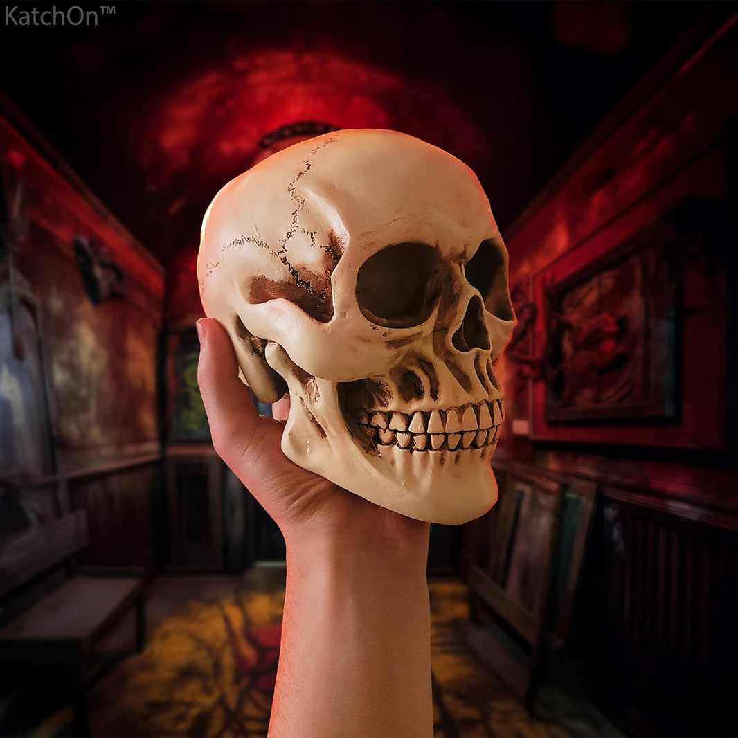 KatchOn, Life Size Human Skull Model 1:1 - Realistic Halloween Human Skull Replica Model | Resin Skull Head Props for Outdoor Halloween Decorations for Home | Skull Decorations Indoor